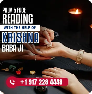 palm reading and face reading